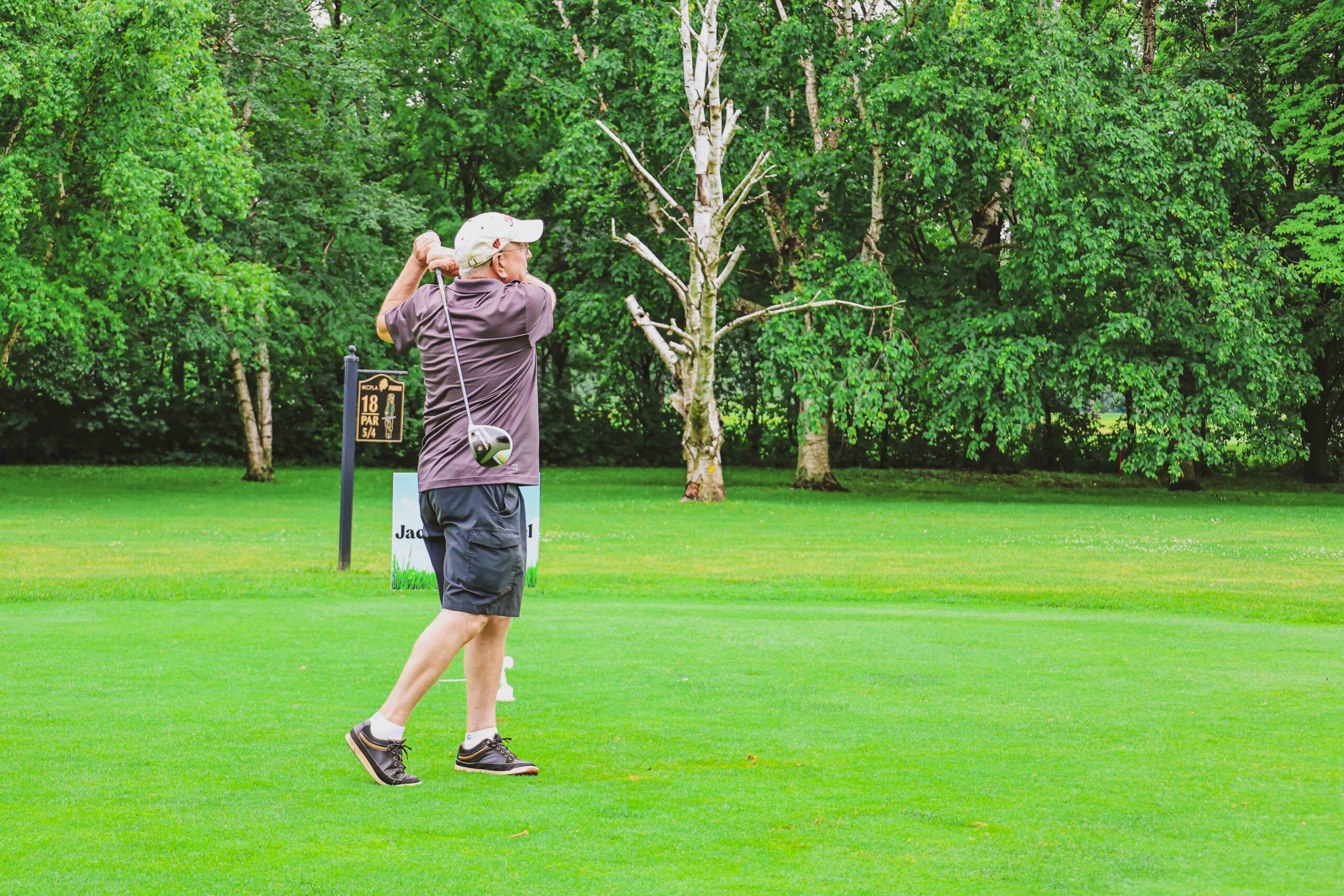 MPS_FDN_Fore-71-scaled.jpg MPS_FDN_Fore-71-scaled.jpg